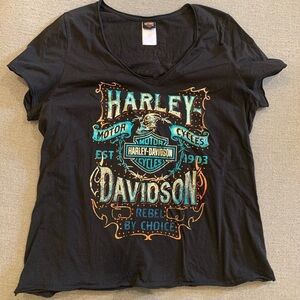 Harley-Davidson Black and Teal Graphic Tee